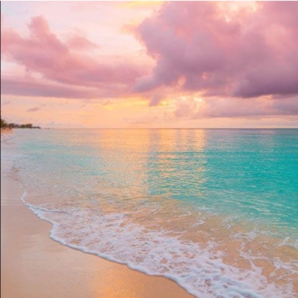 Meet your Posher, Monique